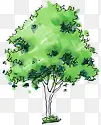 手绘绿色圆形大树植物