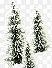 绿色冬日大树圣诞