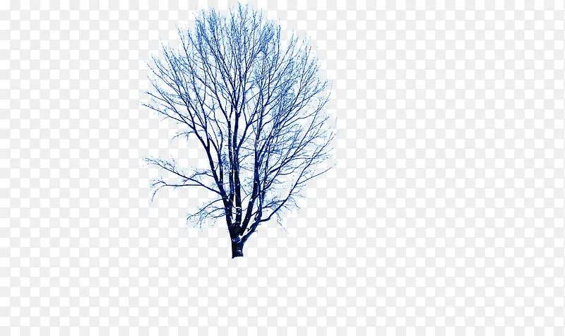 冬季时尚新品大树