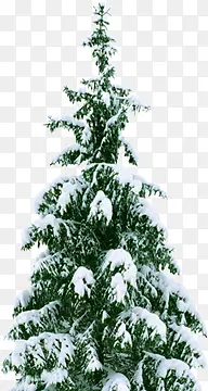 雪景冬日创意大树