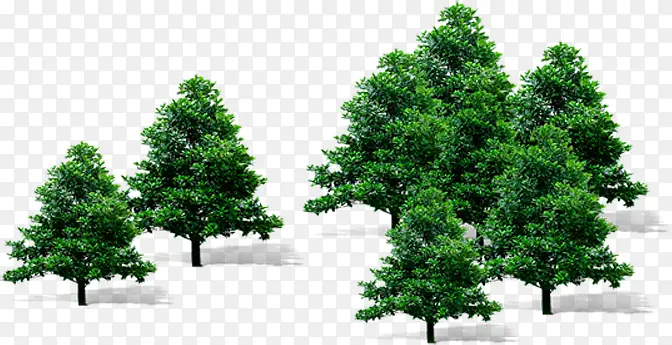 创意合成摄影效果绿色大树