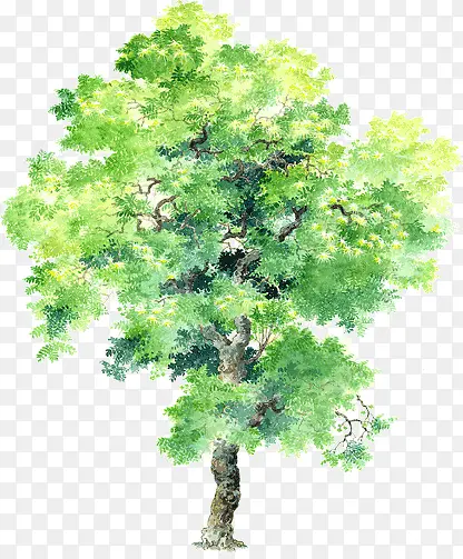 手绘绿色夏季清新大树