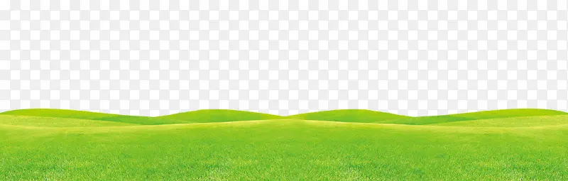 绿色草地背景  春节 健康 自然