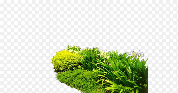 绿色草堆草地