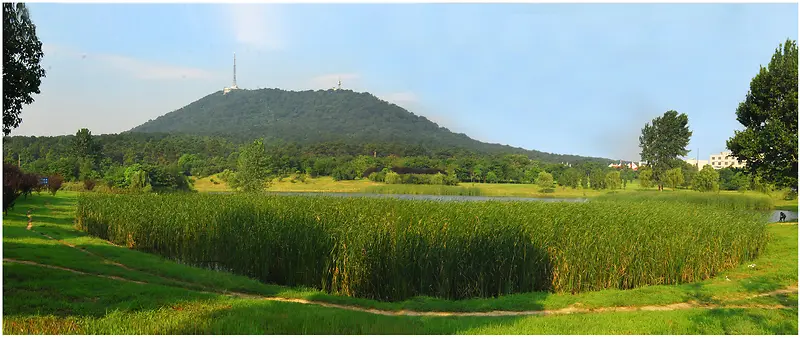 绿色草地洞穴海报背景