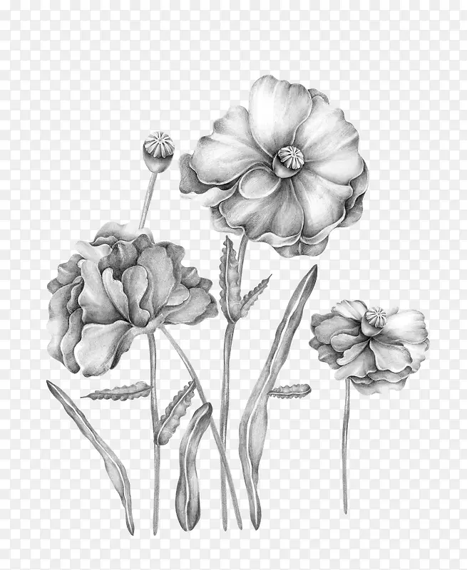 手绘花朵