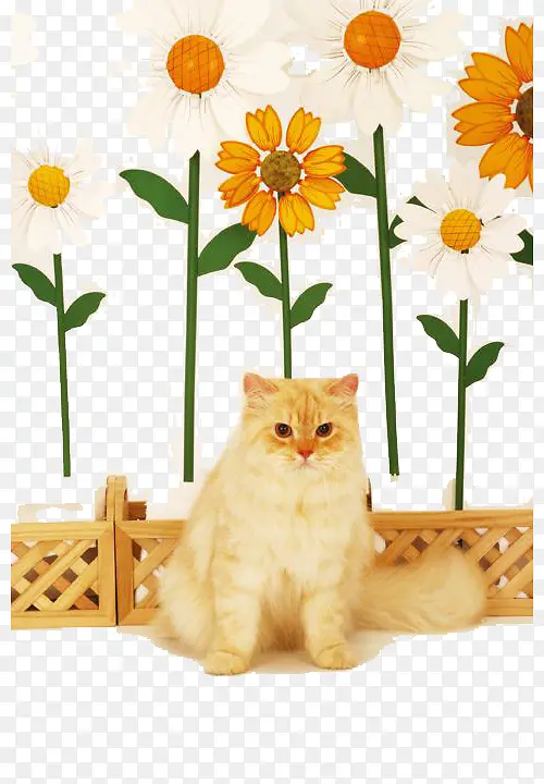 手绘猫咪和植物