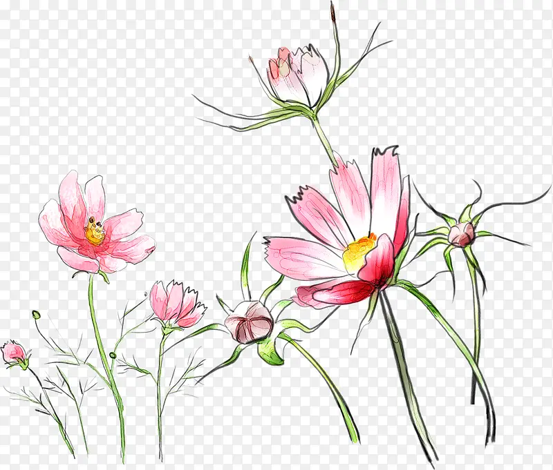 卡通可爱手绘粉红花朵