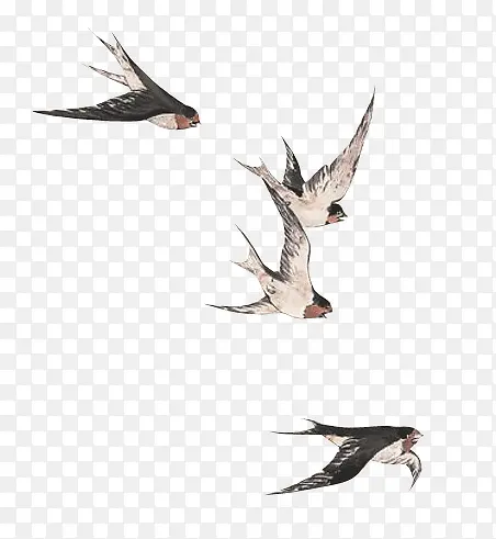 水墨风格创意合成手绘飞翔的燕子