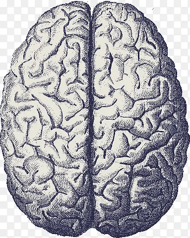 手绘大脑复古风格