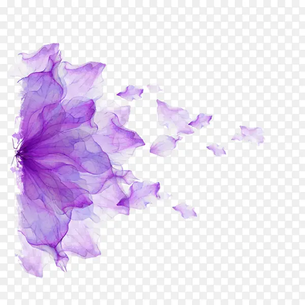 紫色浪漫花朵