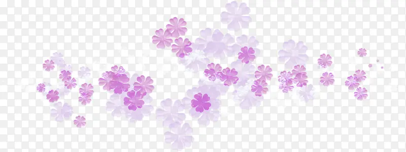 紫色小花漂浮