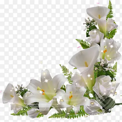 白色鲜花唯美花边免抠png边框