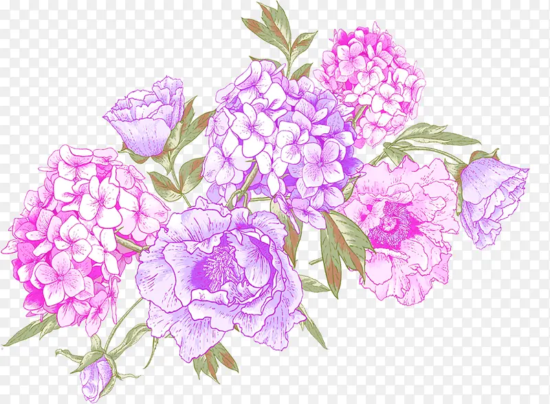 紫色迎宾浪漫花朵