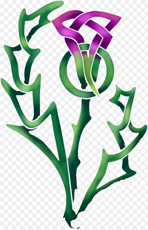 紫花植物