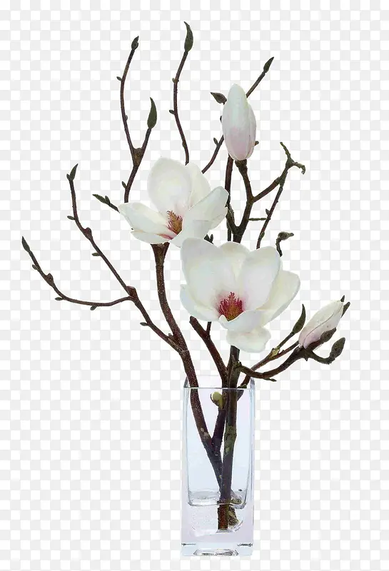 白色花卉花枝插花软装装饰