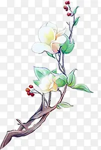 白色花卉花枝中国风手绘