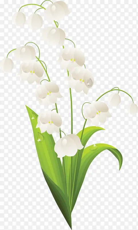 白色花卉边框素材