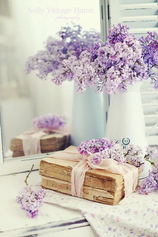 紫色浪漫唯美花朵