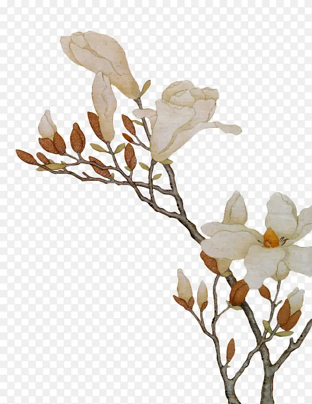 白色花卉展板设计