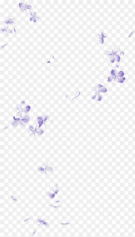 紫色花卉唯美素材