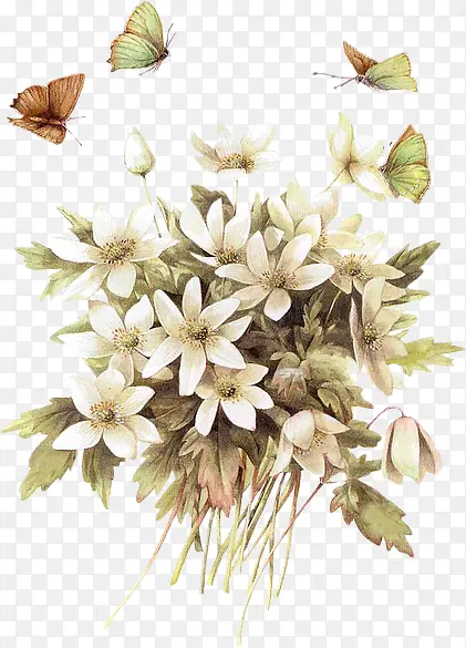 白色花卉蝴蝶手绘海报背景