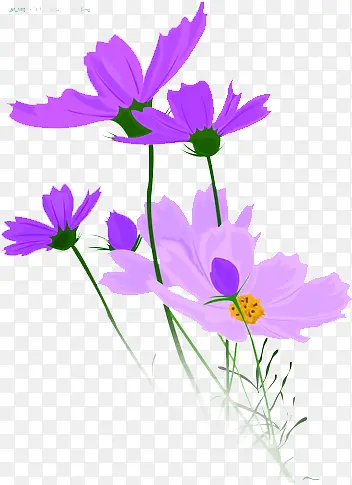 手绘海报节日花朵效果紫色