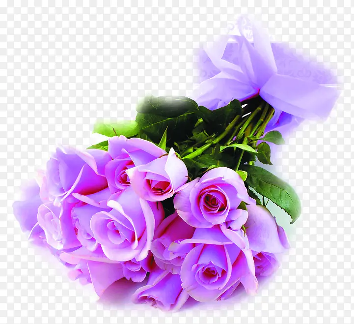 高清紫色花朵鲜花