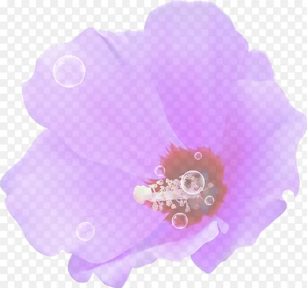 紫色梦幻花朵泡泡