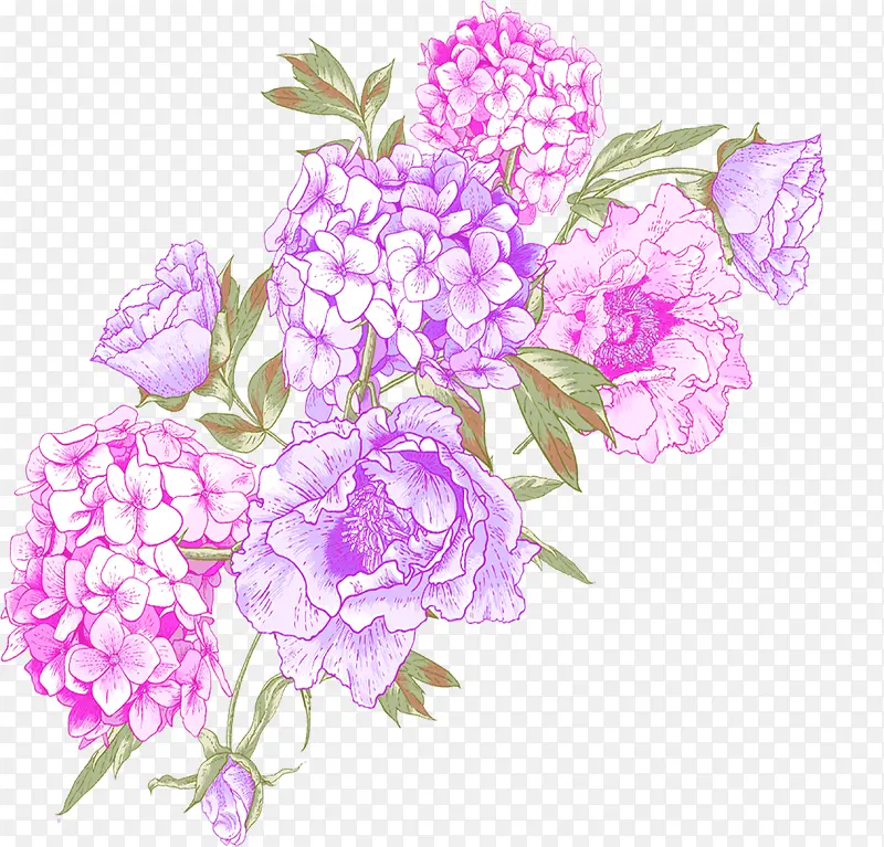 紫色手绘美丽花朵