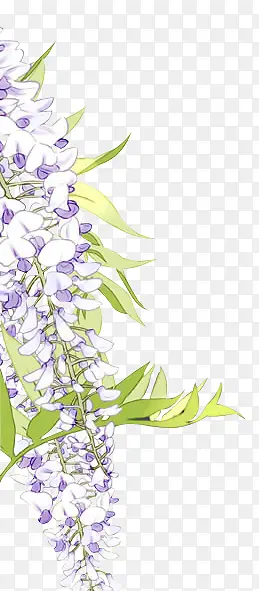 手绘清新紫色花朵