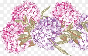 手绘紫色唯美花朵植物树叶