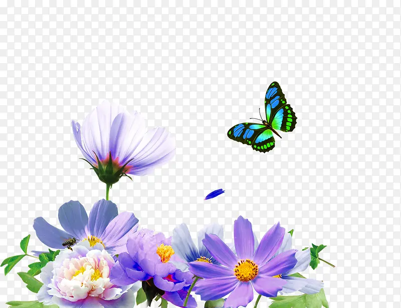 手绘紫色花朵蝴蝶