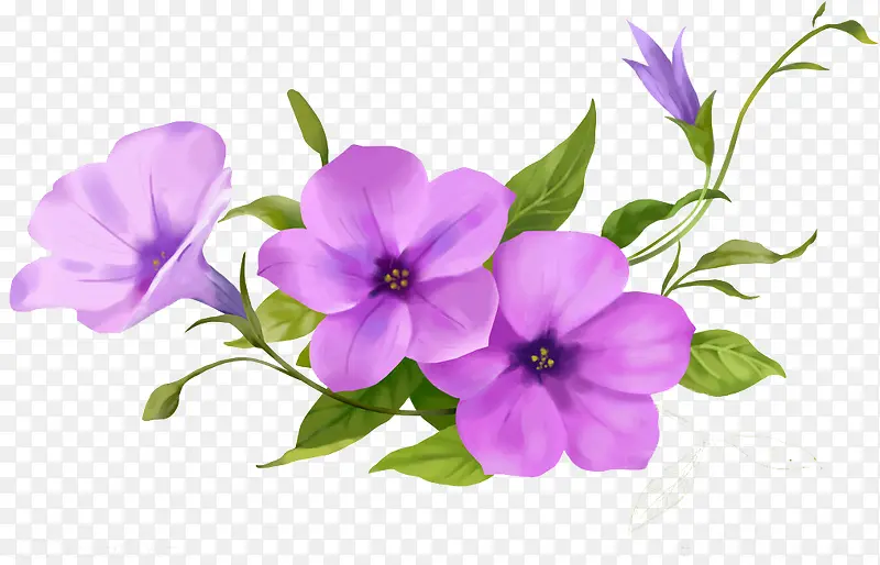 紫色唯美花朵花藤