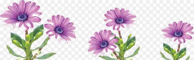卡通海报紫色花朵效果