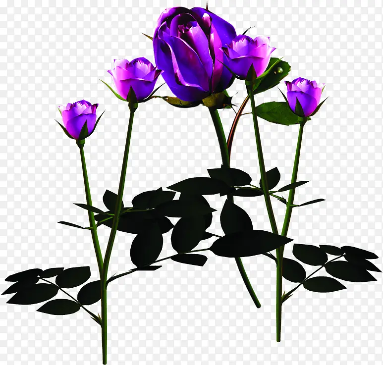 高贵典雅紫色花朵
