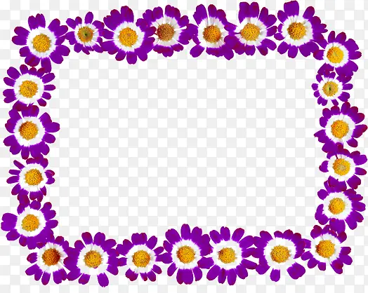 紫色花朵清新边框