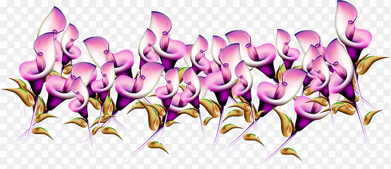紫色手绘花朵植物装饰节日