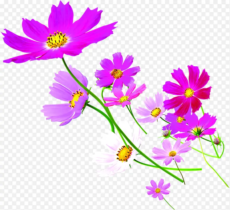 紫色美景花朵设计装饰