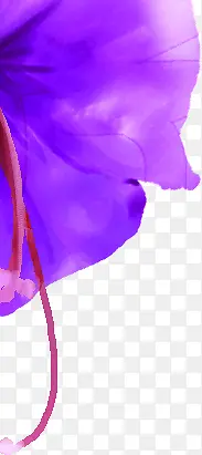 紫色夏日海报花朵