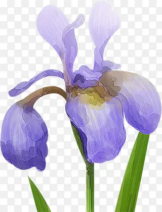 紫色美景花朵水墨