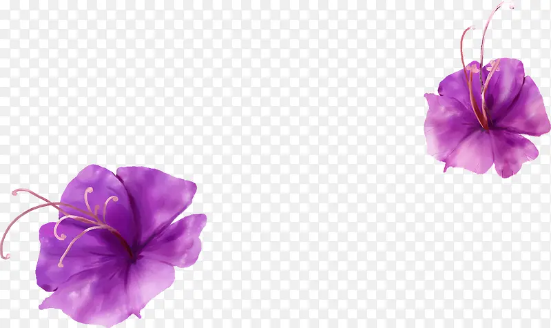紫色手绘花朵海报