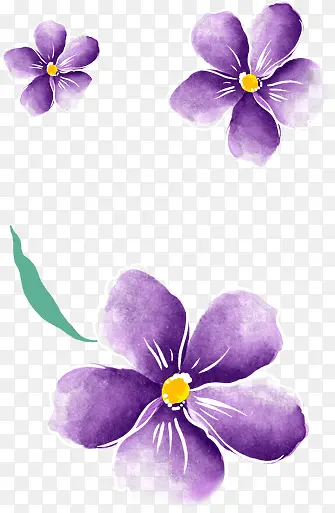 紫色水彩花朵插画