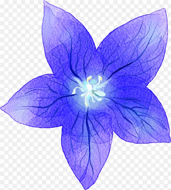 紫色唯美手绘花朵牵牛花