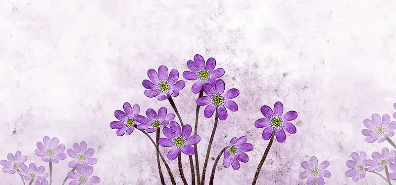 唯美的紫色小花背景