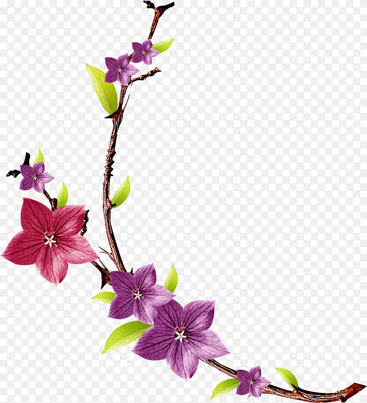 粉紫色春天清新花朵装饰