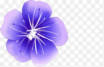 紫色卡通花卉