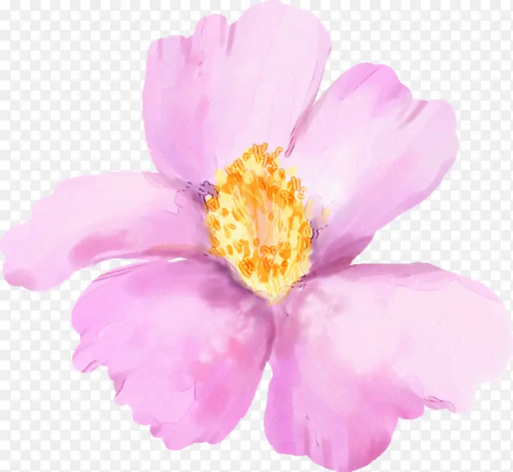 紫色水彩花朵植物装饰美景