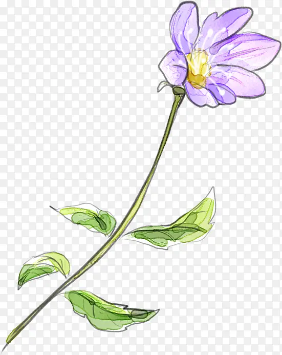 手绘紫色美丽花朵