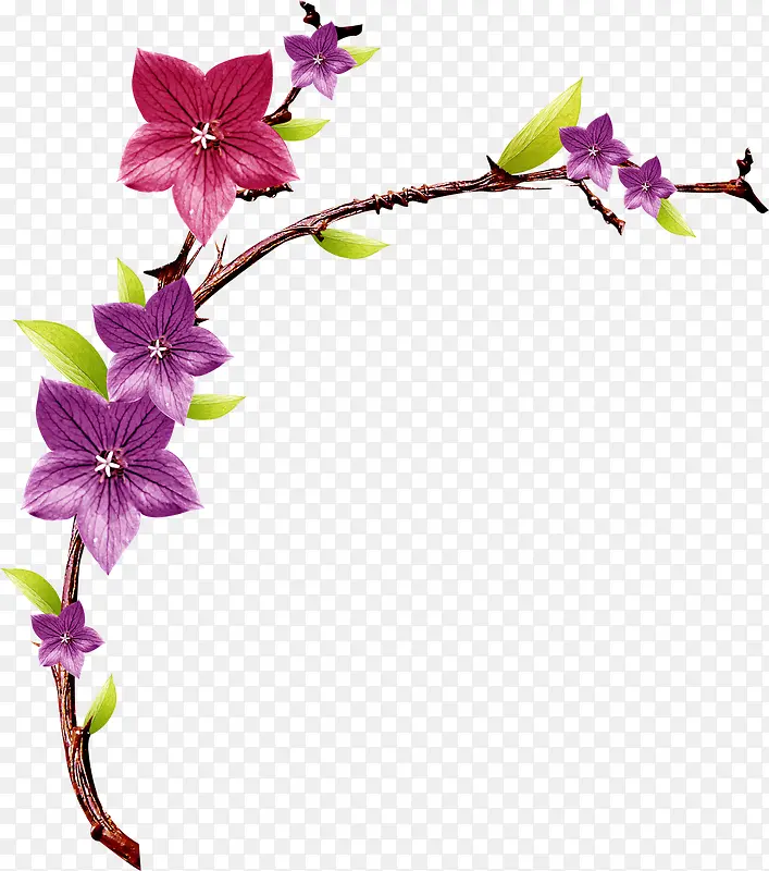 粉紫色春天清新花朵